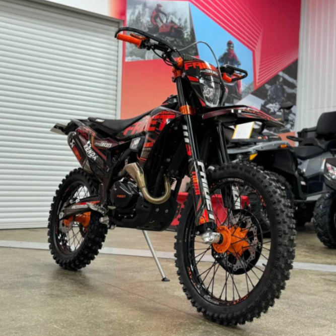 Кроссовый мотоцикл FAIDET PR300 MAX WP в Дзержинске