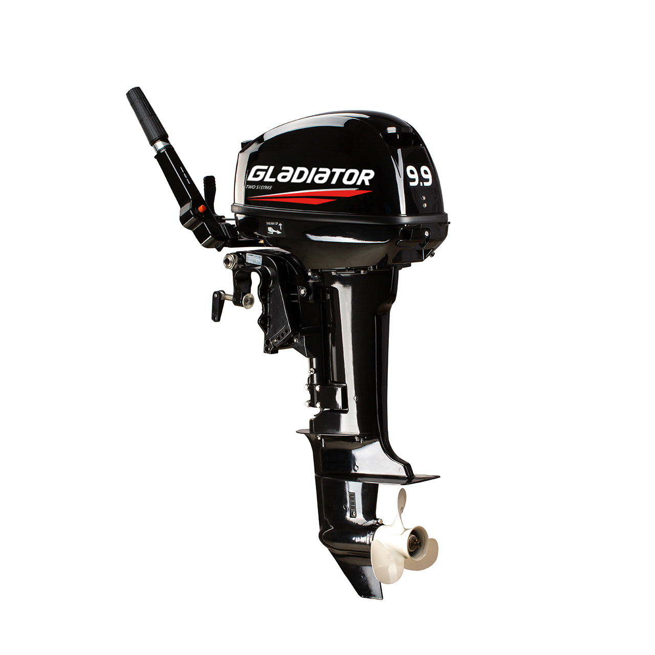 ЛОДОЧНЫЙ МОТОР GLADIATOR G9.9FHS в Дзержинске