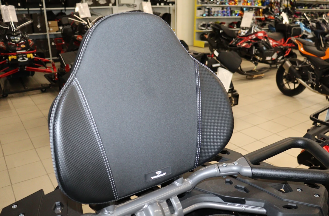 Квадроцикл PROMAX RENEGADE 300 LONG WINCH PRO (2025) в Дзержинске