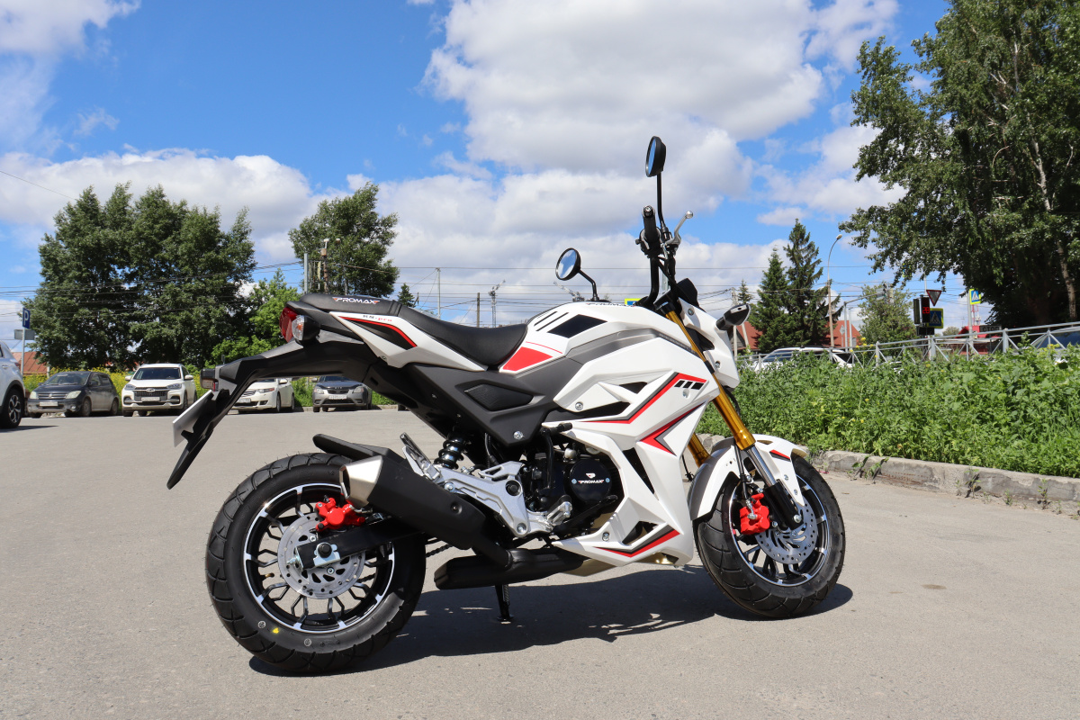 Мотоцикл PROMAX STRYKER 200(49) 2.0 в Дзержинске