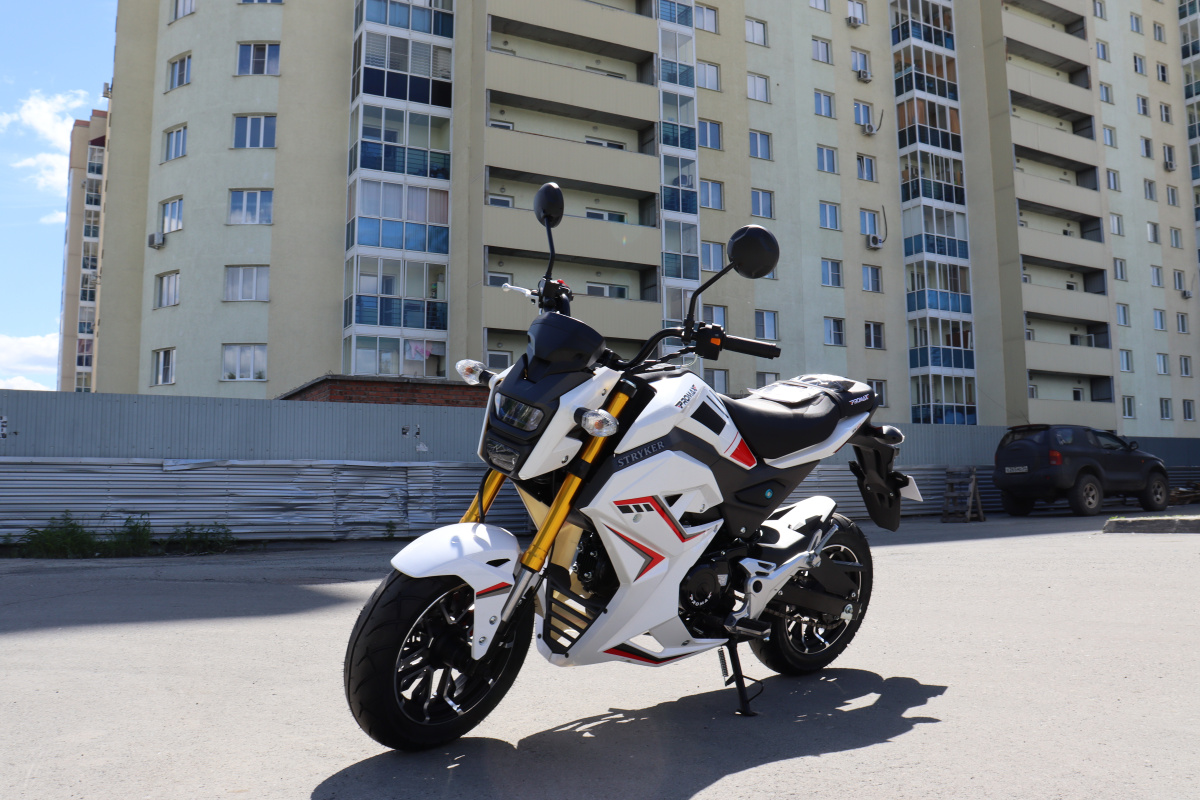 Мотоцикл PROMAX STRYKER 200(49) 2.0 в Дзержинске