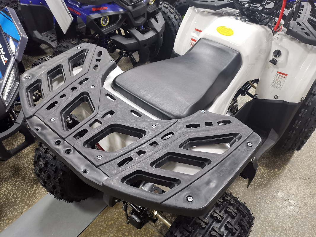 Квадроцикл PROMAX WILD 175 LUX в Дзержинске