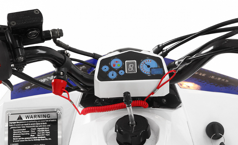 Квадроцикл Yacota Raposa 110 в Дзержинске