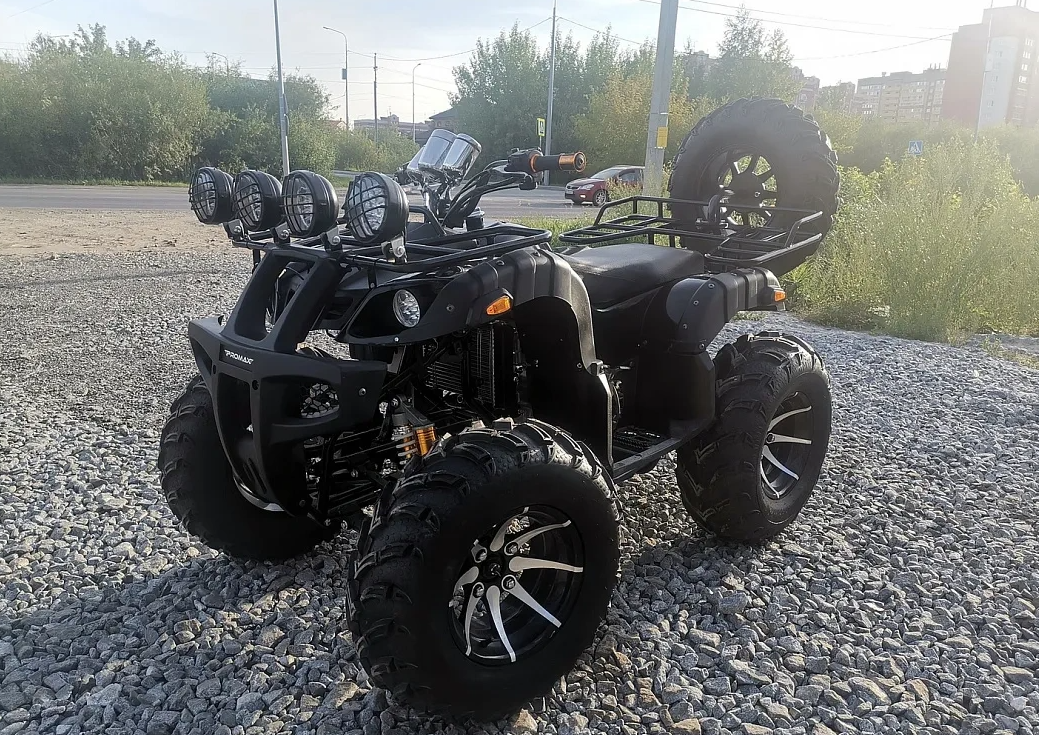 Квадроцикл PROMAX LEO 300 Max (кардан) в Дзержинске