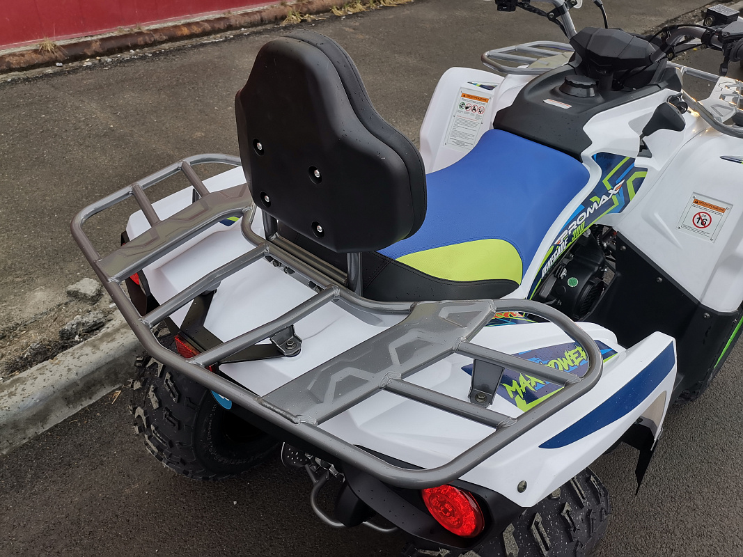 Квадроцикл PROMAX RENEGADE 280 LUX (2025) в Дзержинске