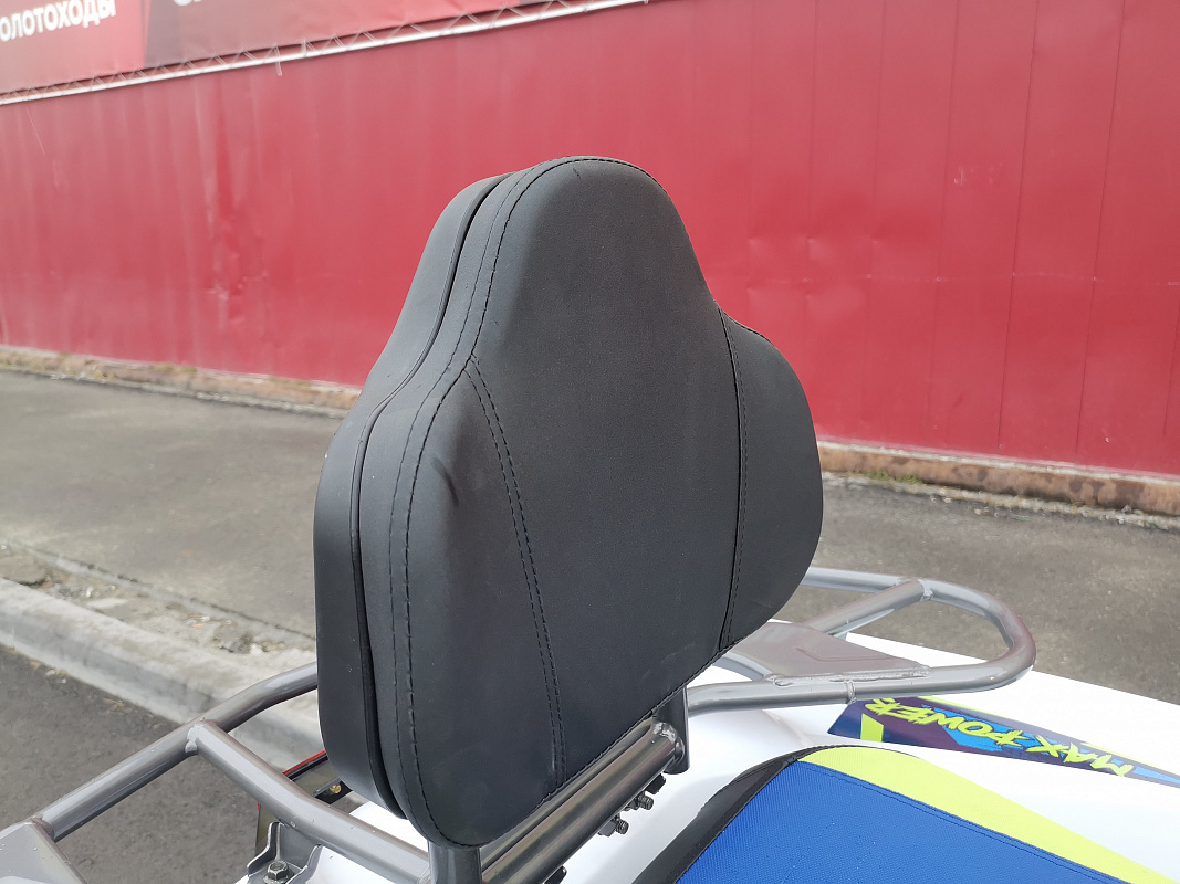 Квадроцикл PROMAX RENEGADE 280 LUX (2025) в Дзержинске