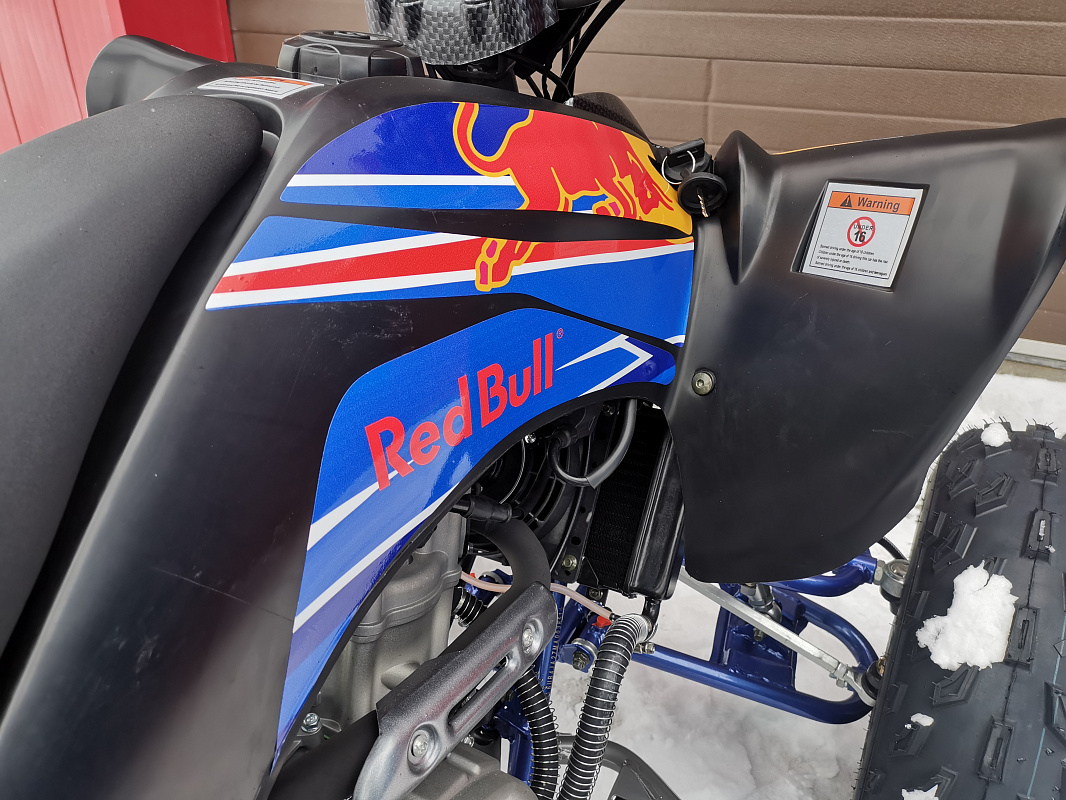Квадроцикл PROMAX RAPTOR 300 NEW RedBull в Дзержинске