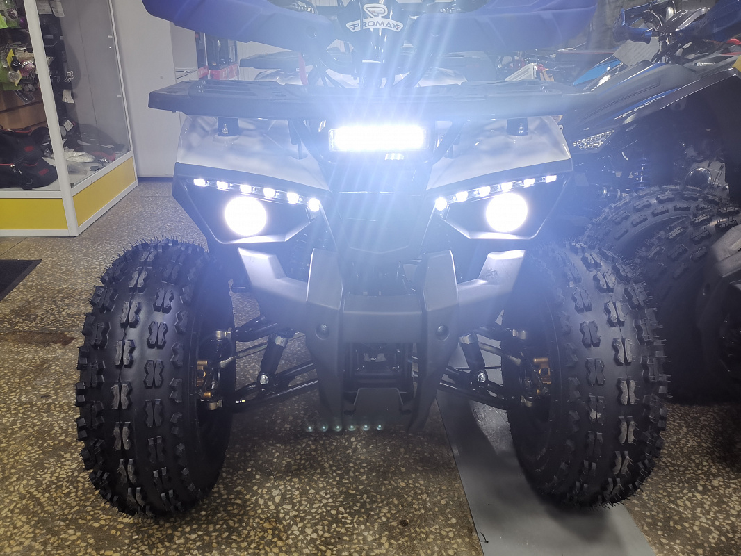 Квадроцикл PROMAX WILD 175 LUX в Дзержинске