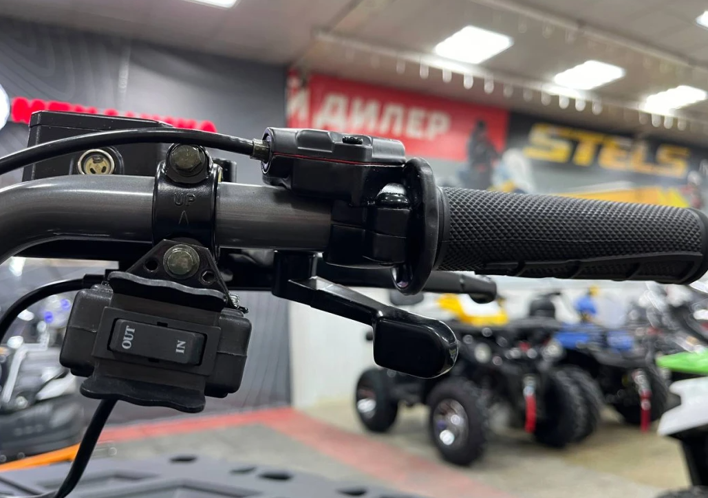 Квадроцикл PROMAX RENEGADE 300 LONG WINCH PRO (2025) в Дзержинске