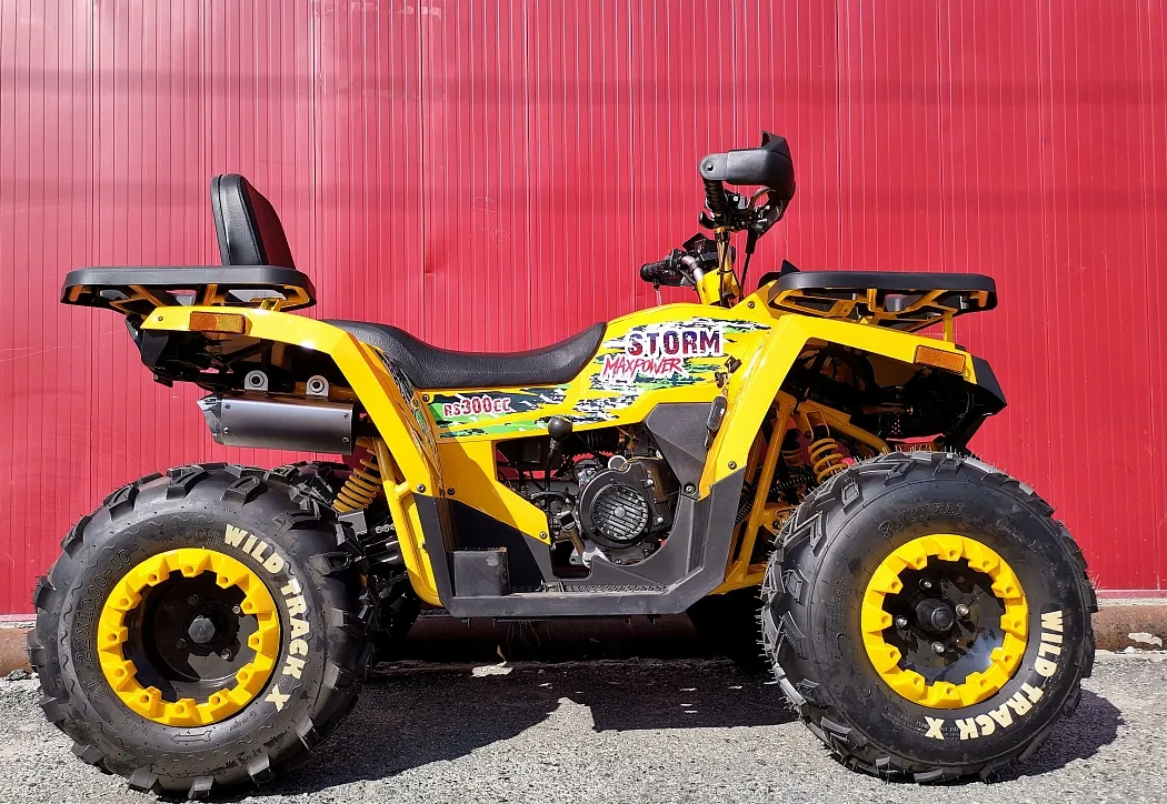 Квадроцикл PROMAX STORM 280 LUX в Дзержинске
