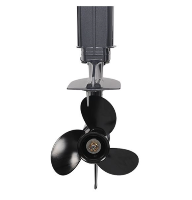 Лодочный мотор ALLFA CG Т40FW S в Дзержинске