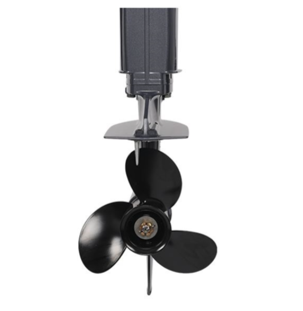 Лодочный мотор ALLFA CG Т40FWT S в Дзержинске