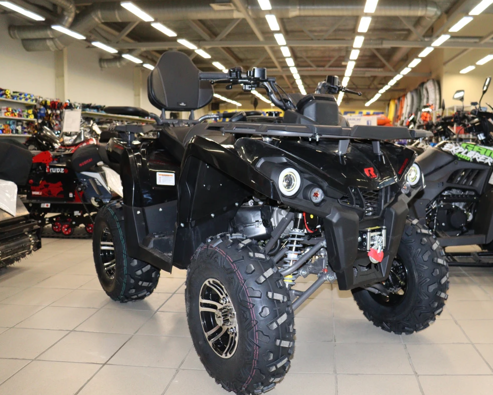 Квадроцикл PROMAX RENEGADE 300 LONG WINCH PRO (2025) в Дзержинске