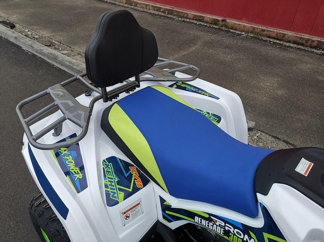 Квадроцикл PROMAX RENEGADE 280 LUX (2025) в Дзержинске