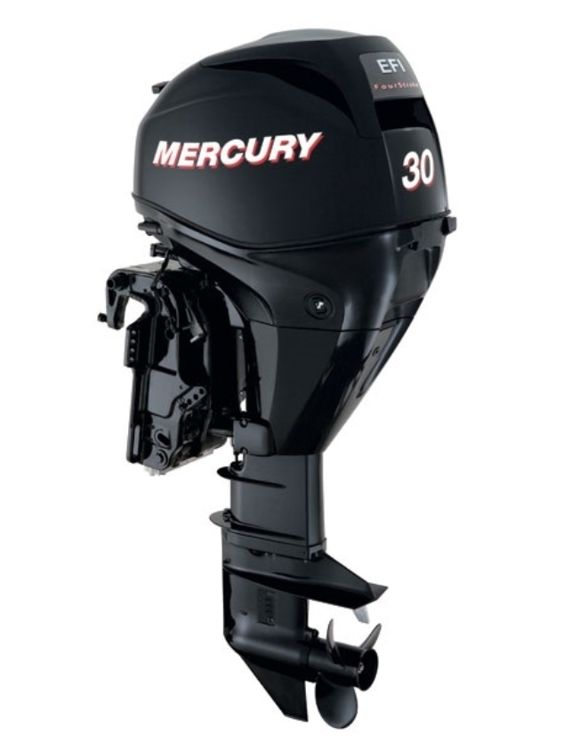 ЛОДОЧНЫЙ МОТОР MERCURY  F 30 ELH GA EFI в Дзержинске