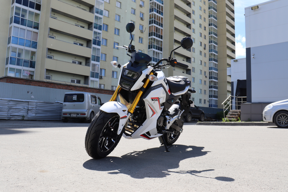 Мотоцикл PROMAX STRYKER 200(49) 2.0 в Дзержинске