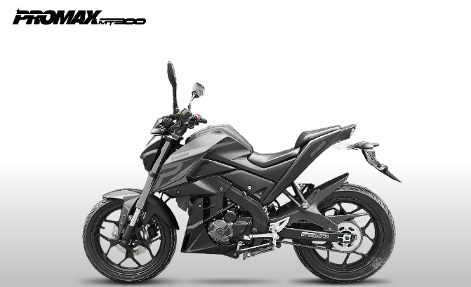 Мотоцикл PROMAX MT300 в Дзержинске