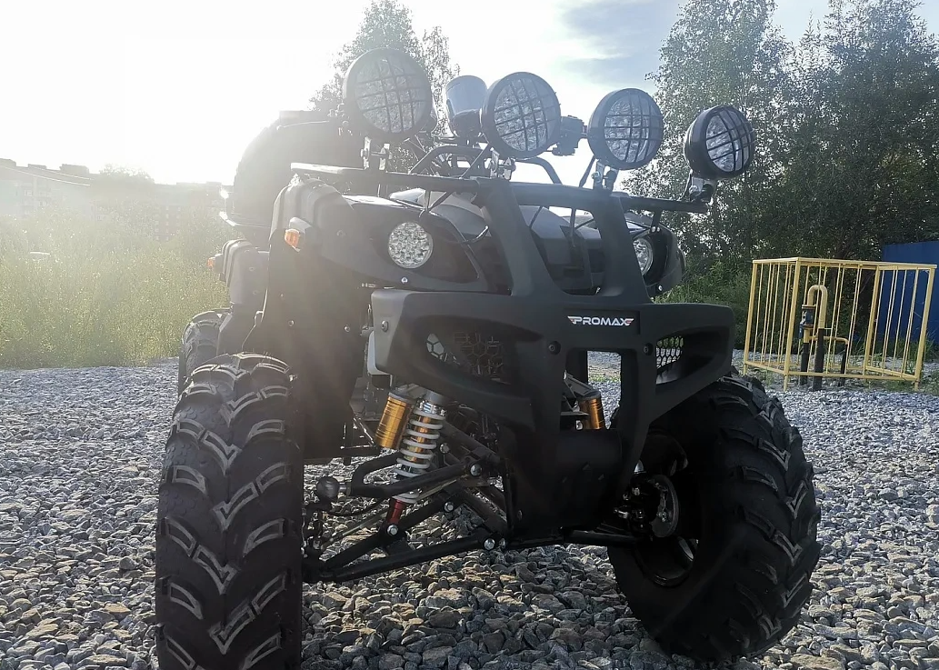 Квадроцикл PROMAX LEO 300 Max (кардан) в Дзержинске