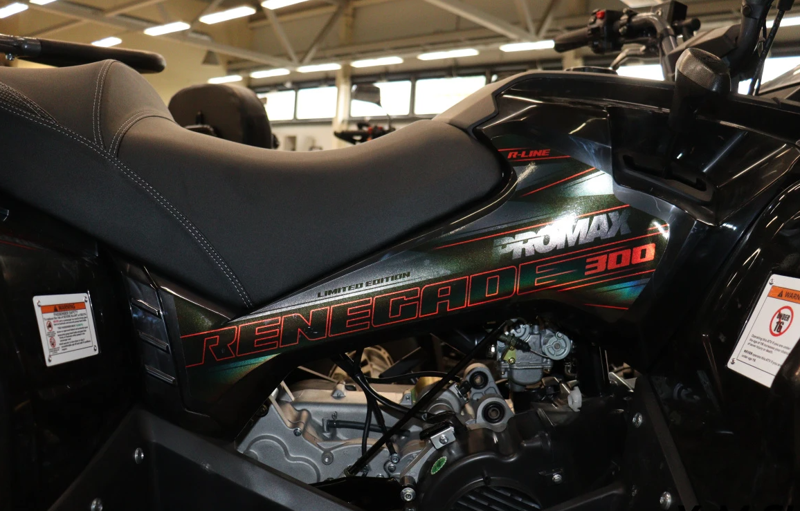 Квадроцикл PROMAX RENEGADE 300 LONG WINCH PRO (2025) в Дзержинске