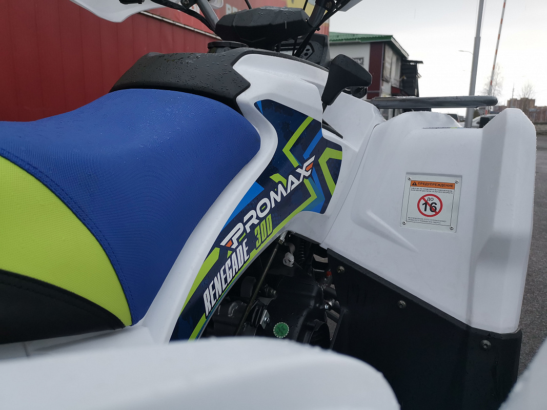 Квадроцикл PROMAX RENEGADE 280 LUX (2025) в Дзержинске
