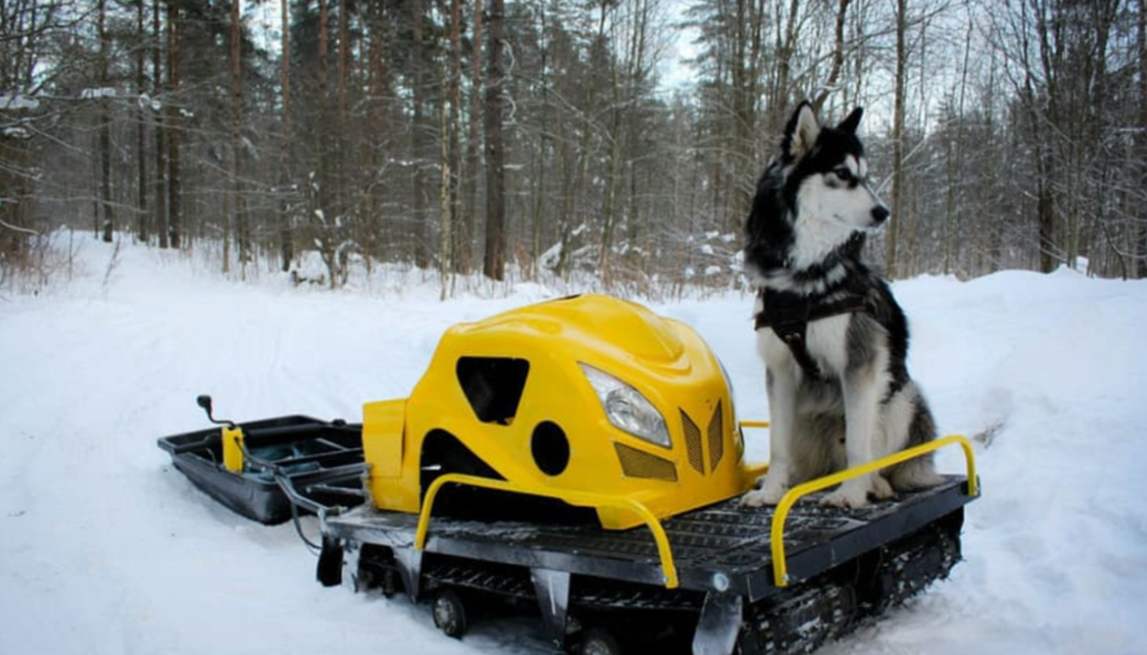 Мотобуксировщик LEBEDEV MOTORS ВОЛКОДАВ POWER V13 в Дзержинске
