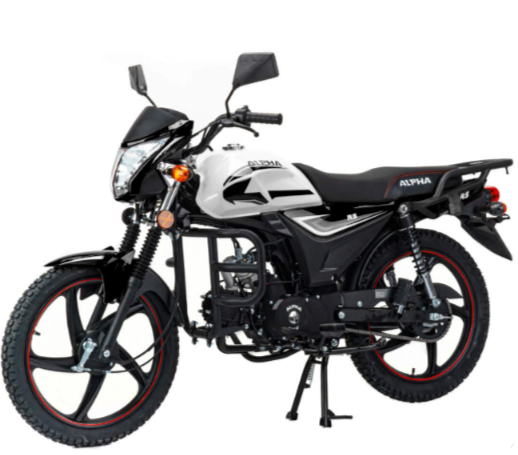 Мопед MOTOLAND (МОТОЛЕНД) Альфа RS 11 (LM48-B) в Дзержинске