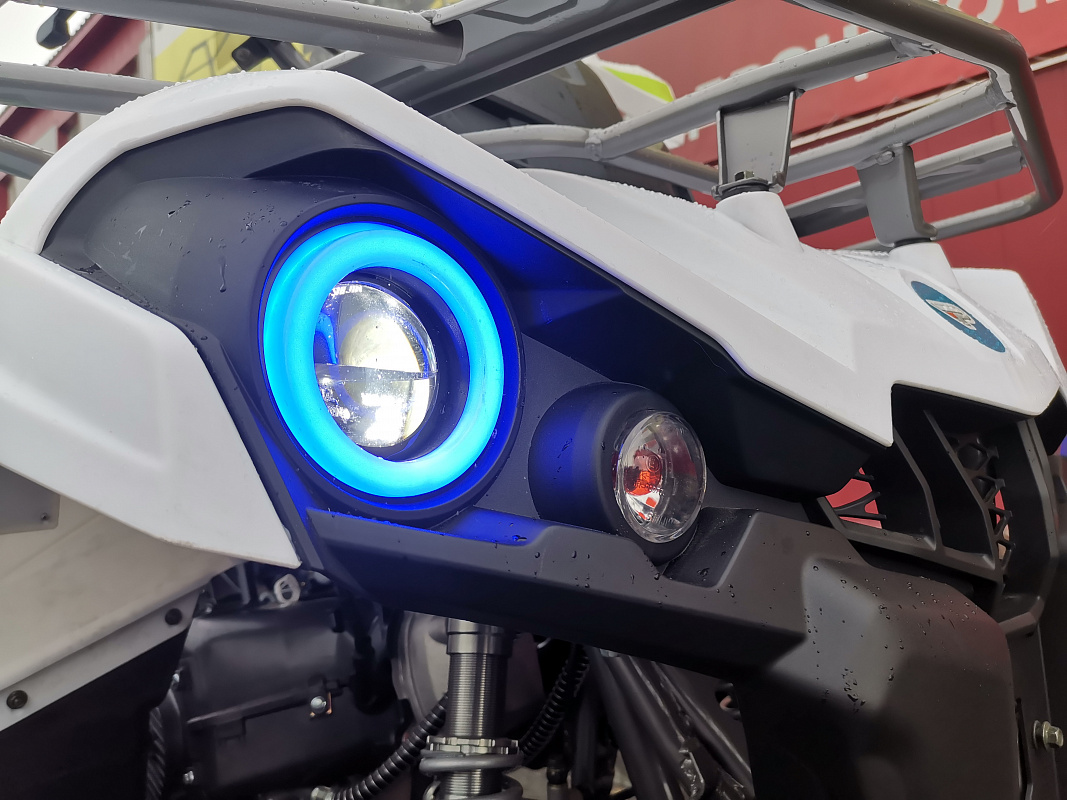 Квадроцикл PROMAX RENEGADE 280 LUX (2025) в Дзержинске