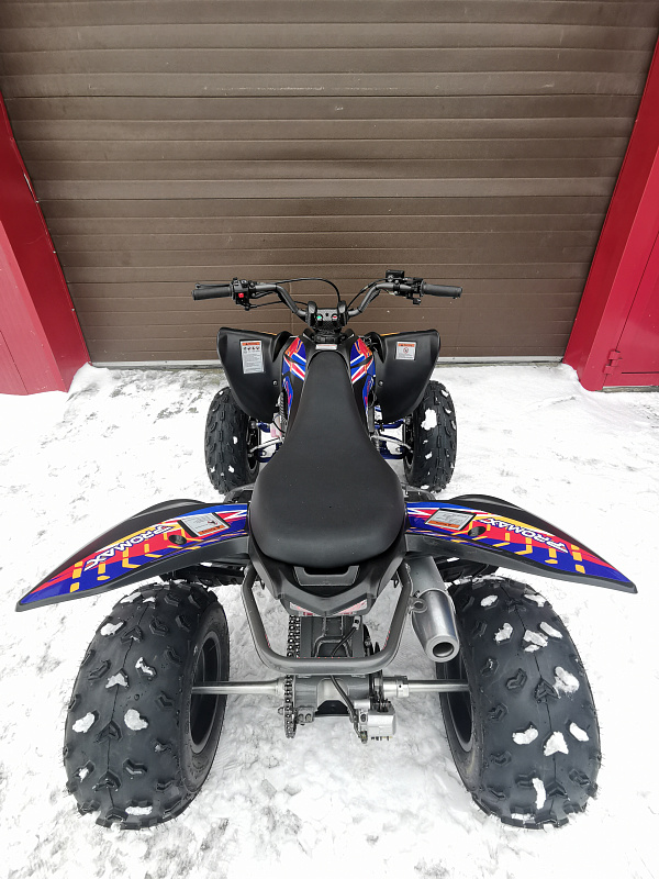 Квадроцикл PROMAX RAPTOR 300 NEW RedBull в Дзержинске