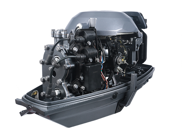 ЛОДОЧНЫЙ МОТОР ALLFA CG T30 FW S в Дзержинске