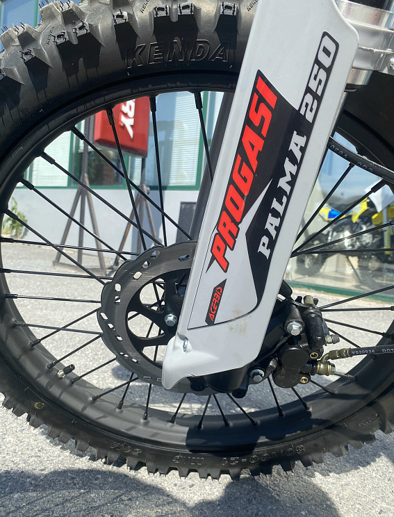 Мотоцикл Progasi PALMA 300 NEW (CB300F) в Дзержинске