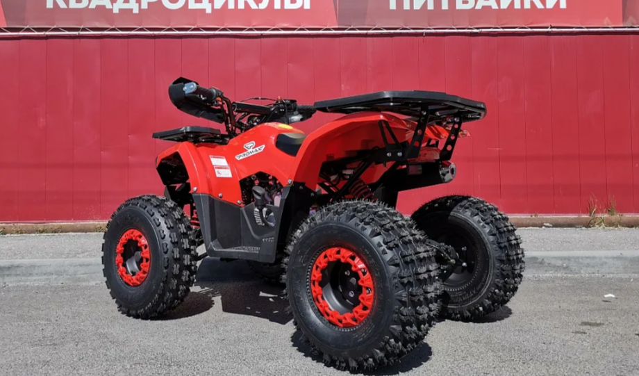 Квадроцикл PROMAX WILD 175 BASIC в Дзержинске