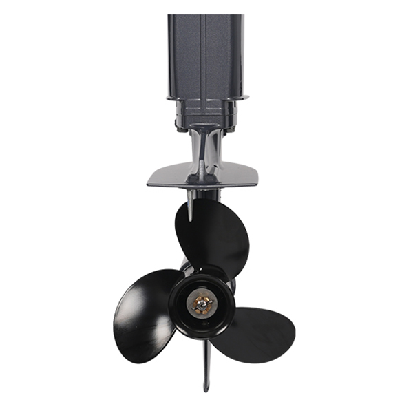 ЛОДОЧНЫЙ МОТОР ALLFA CG T30 FW S в Дзержинске