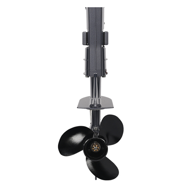 ЛОДОЧНЫЙ МОТОР ALLFA CG T9,8 Limit в Дзержинске