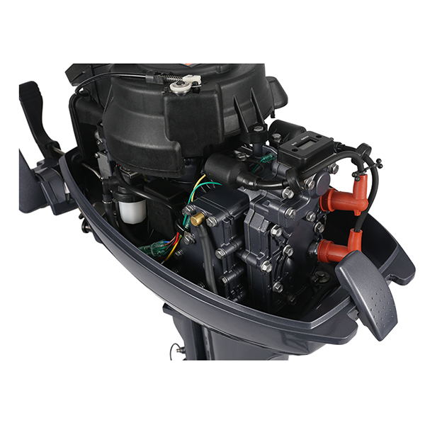 ЛОДОЧНЫЙ МОТОР ALLFA CG Т9,9 Limit в Дзержинске