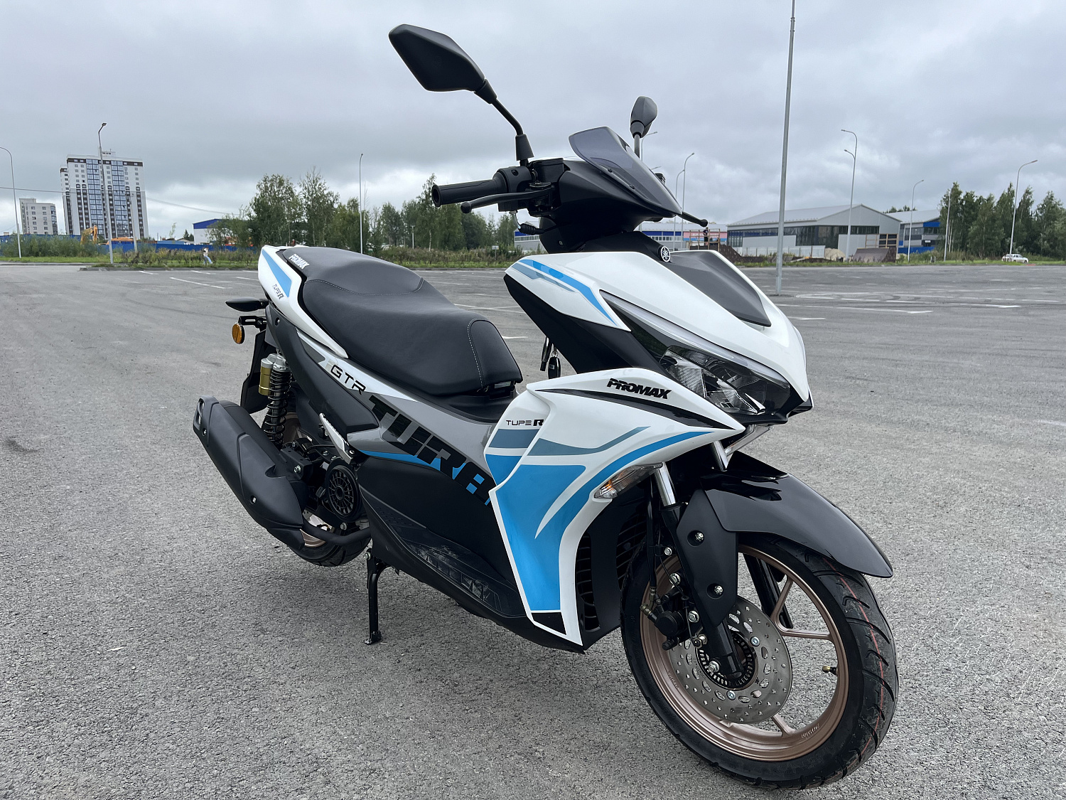 Скутер PROMAX TURAN 250 (49) в Дзержинске