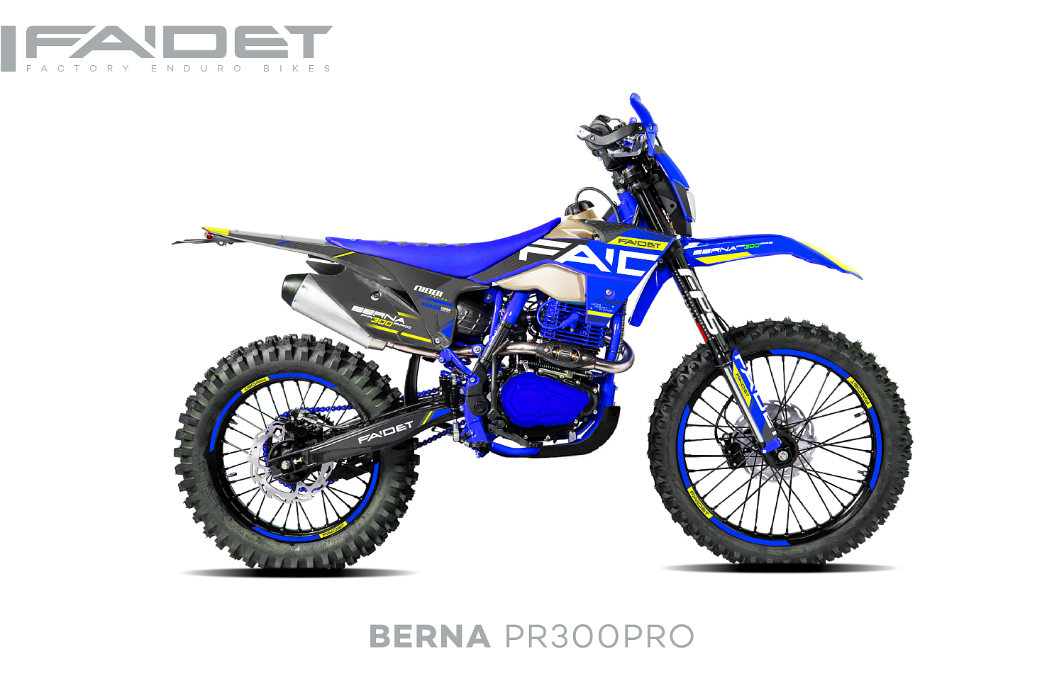 Кроссовый мотоцикл FAIDET BERNA PR300-PRO FPS в Дзержинске