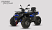 Квадроцикл PROMAX TAURUS 300 MAX-PRO LONG в Дзержинске