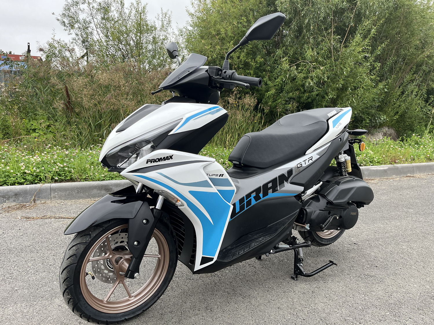 Скутер PROMAX TURAN 250 (49) в Дзержинске