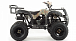 Квадроцикл MOTOLAND (МОТОЛЕНД) 200 ALL ROAD в Дзержинске