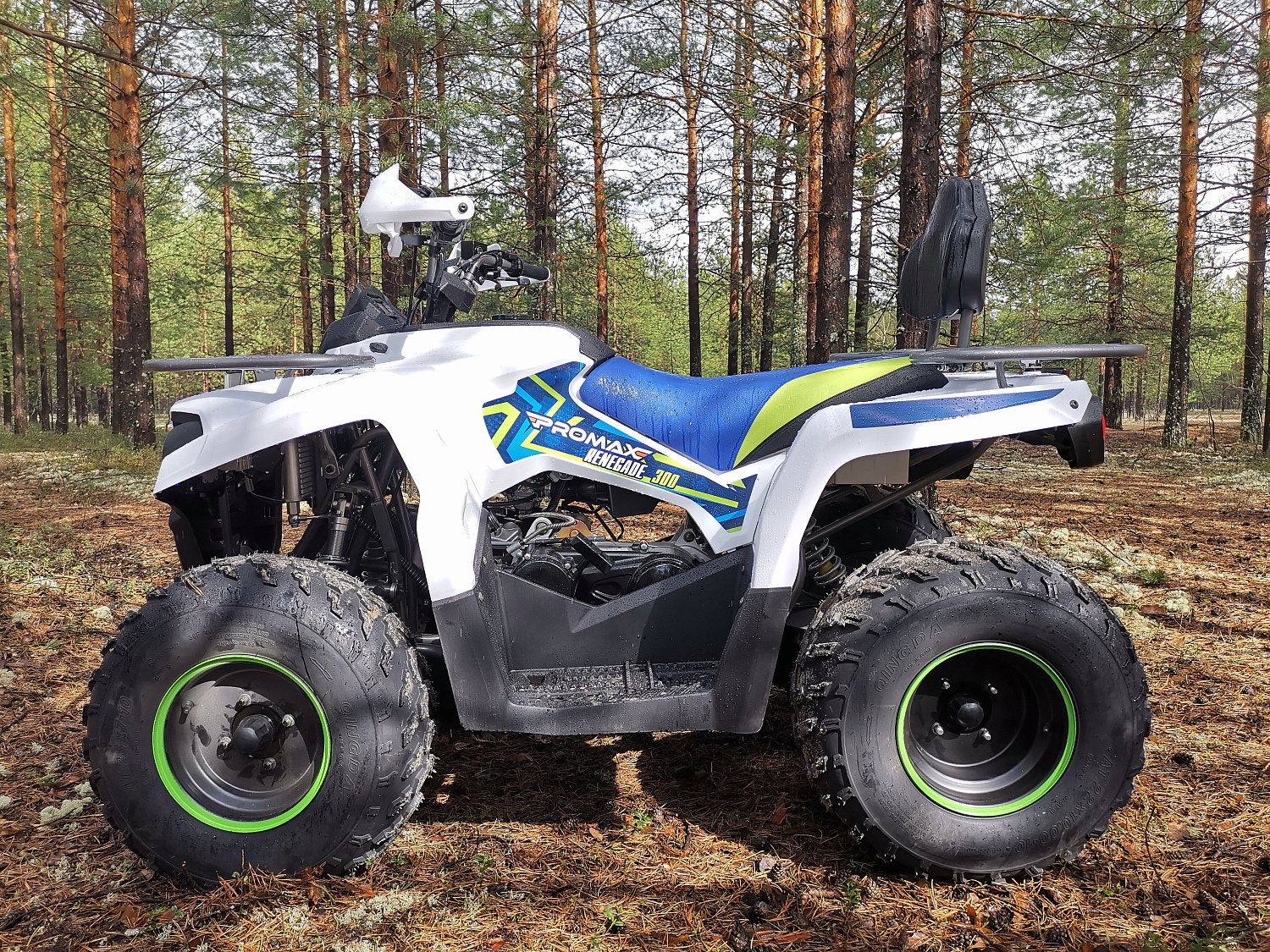 Квадроцикл PROMAX RENEGADE 280 (2025) в Дзержинске