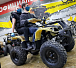 Квадроцикл PROMAX ATV 250 (2025) в Дзержинске