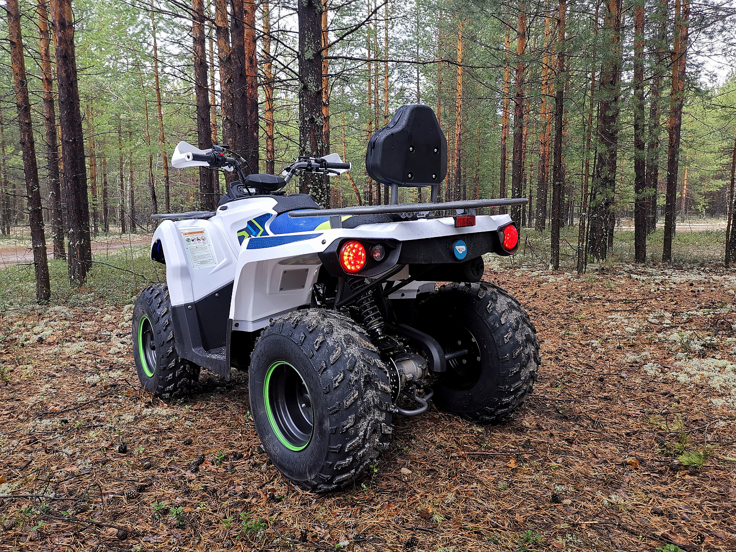 Квадроцикл PROMAX RENEGADE 280 (2025) в Дзержинске