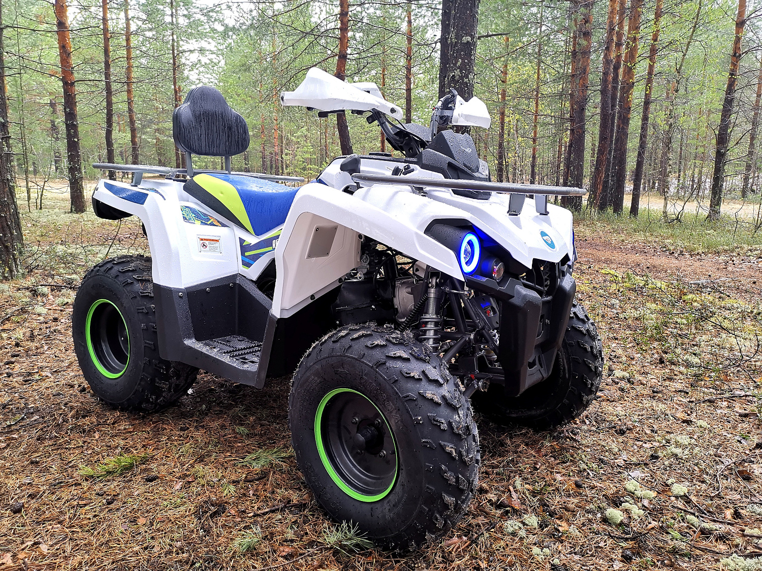 Квадроцикл PROMAX RENEGADE 280 (2025) в Дзержинске