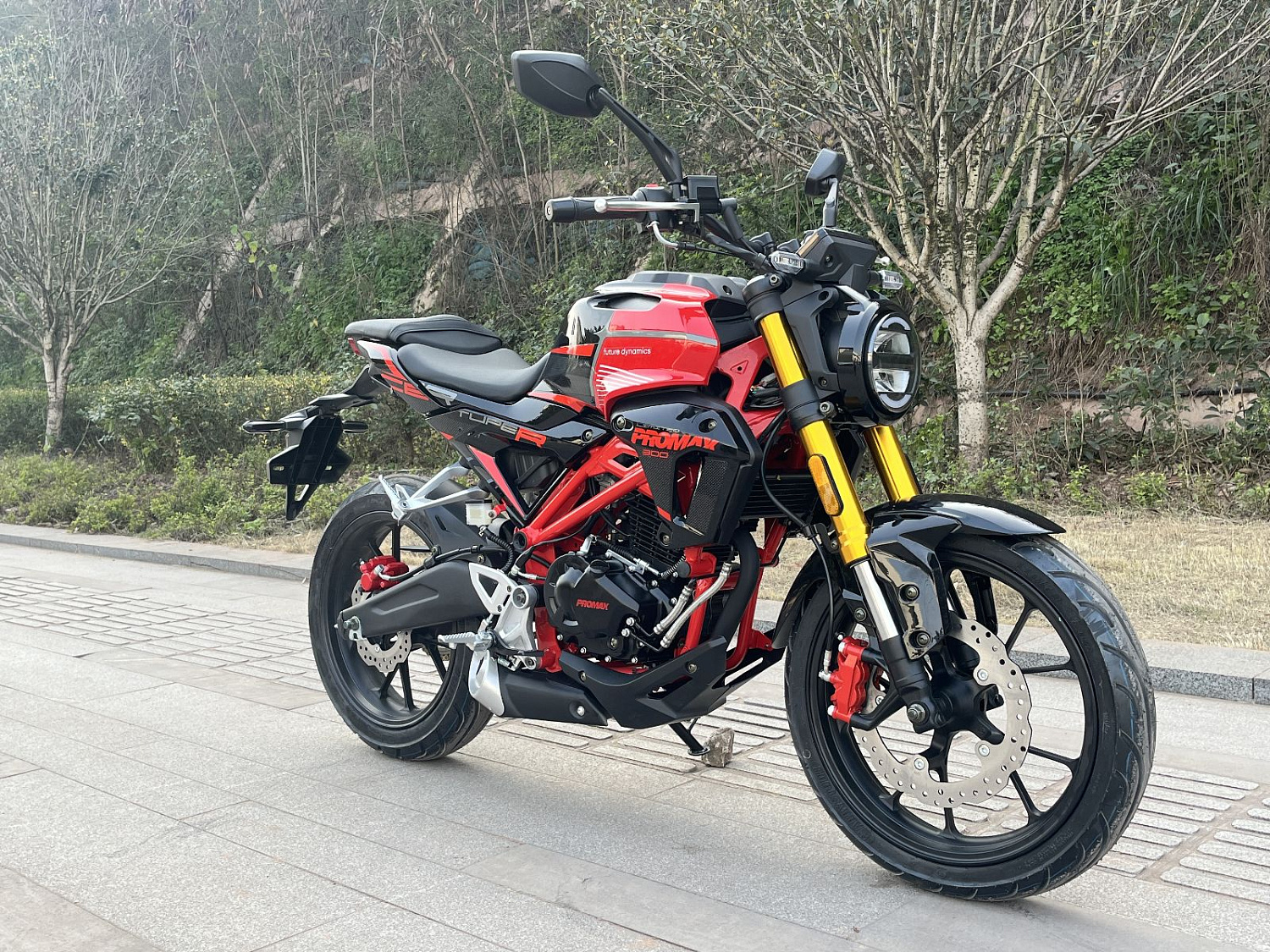 Мотоцикл PROMAX CB300RL (4V, 6G) в Дзержинске