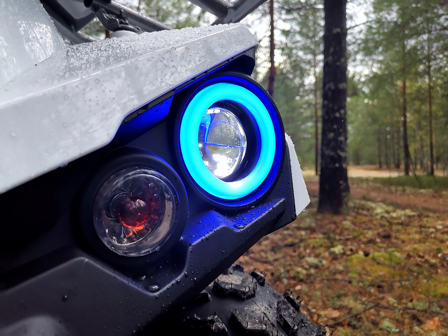 Квадроцикл PROMAX RENEGADE 280 (2025) в Дзержинске