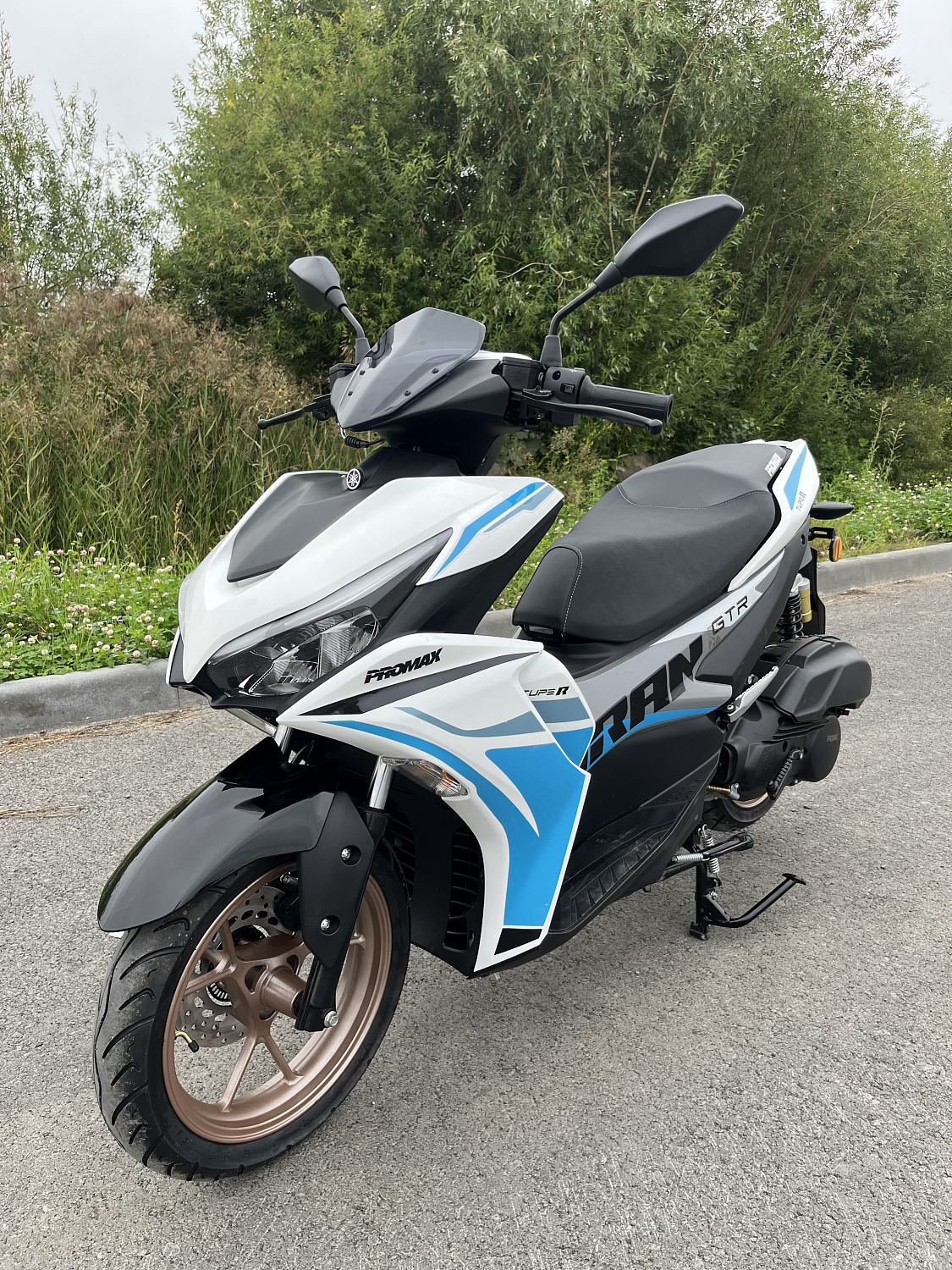 Скутер PROMAX TURAN 250 (49) в Дзержинске