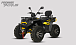 Квадроцикл PROMAX TAURUS 300 MAX-PRO LONG в Дзержинске